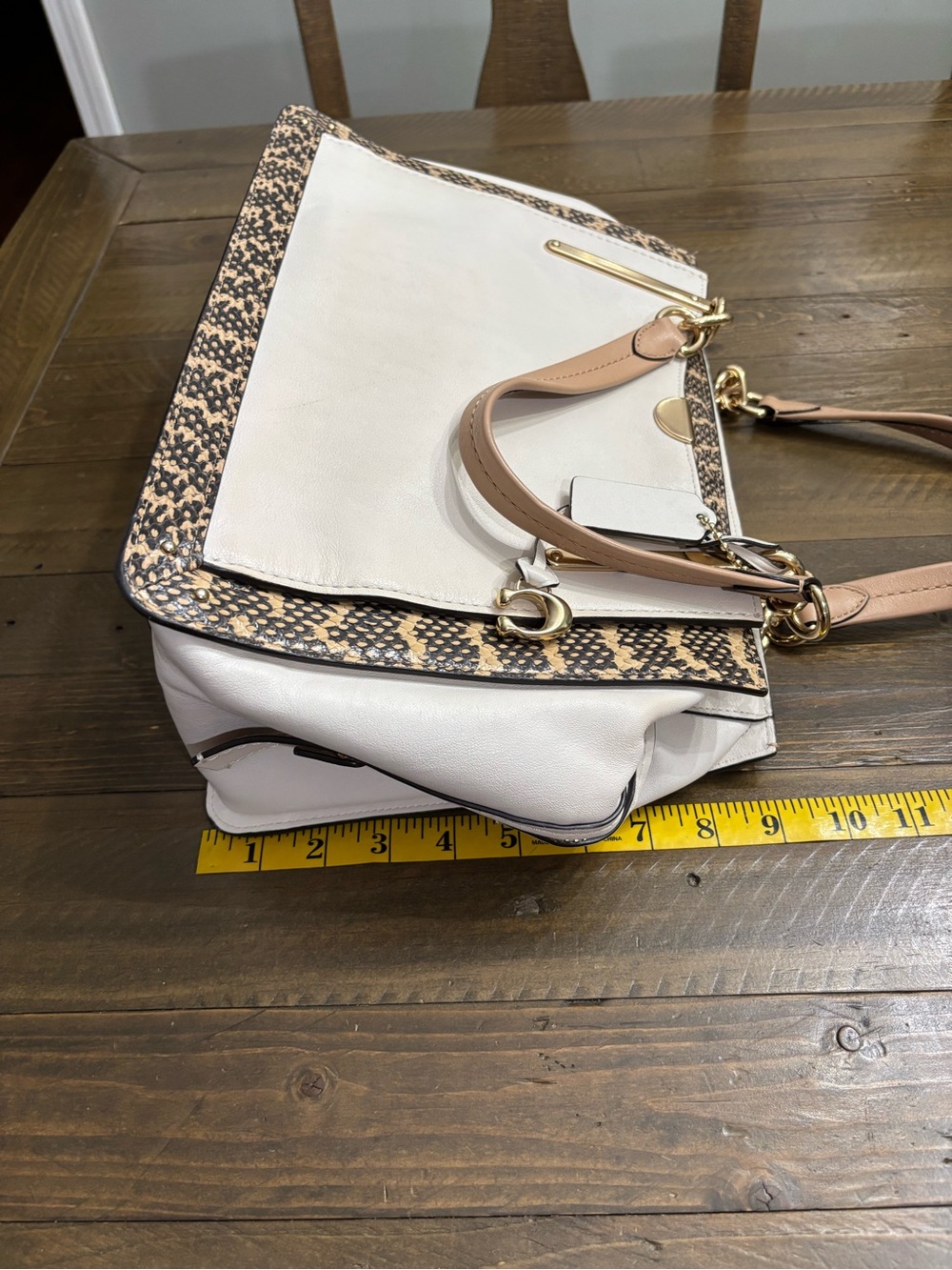 Coach Dreamer 36 in Colorblock with Snake Detail - Picture 16 of 16